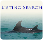 Listing Search.png